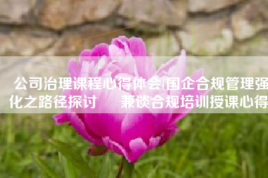 公司治理课程心得体会(国企合规管理强化之路径探讨 ∣ 兼谈合规培训授课心得)