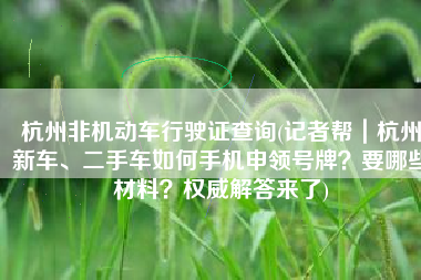 杭州非机动车行驶证查询(记者帮｜杭州新车、二手车如何手机申领号牌？要哪些材料？权威解答来了)