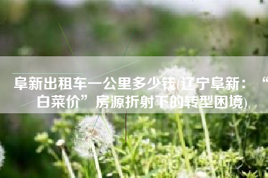 阜新出租车一公里多少钱(辽宁阜新：“白菜价”房源折射下的转型困境)