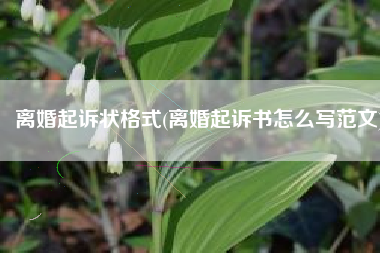 离婚起诉状格式(离婚起诉书怎么写范文)