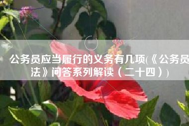 公务员应当履行的义务有几项(《公务员法》问答系列解读（二十四）)