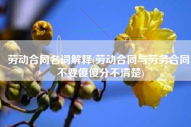 劳动合同名词解释(劳动合同与劳务合同，不要傻傻分不清楚)