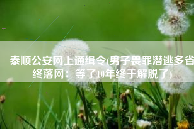 泰顺公安网上通缉令(男子畏罪潜逃多省终落网：等了10年终于解脱了)