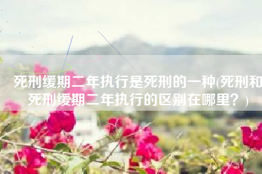 死刑缓期二年执行是死刑的一种(死刑和死刑缓期二年执行的区别在哪里？)