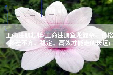 工商注册怎样(工商注册鱼龙混杂、价格参差不齐、稳定、高效才能走的长远)
