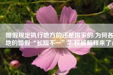 婚假规定执行地方的还是国家的(为何各地的婚假“长短不一”？权威解释来了)