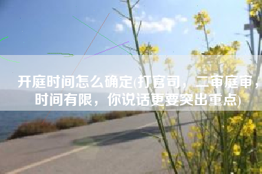 开庭时间怎么确定(打官司，二审庭审，时间有限，你说话更要突出重点)