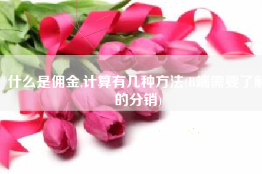 什么是佣金,计算有几种方法(B端需要了解的分销)