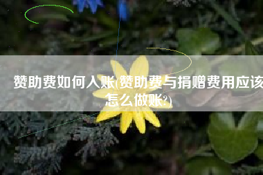赞助费如何入账(赞助费与捐赠费用应该怎么做账?)