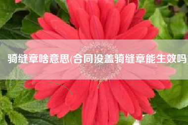 骑缝章啥意思(合同没盖骑缝章能生效吗)