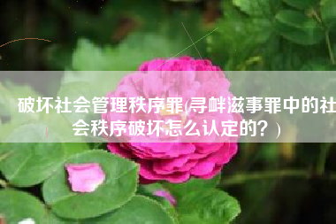 破坏社会管理秩序罪(寻衅滋事罪中的社会秩序破坏怎么认定的？)