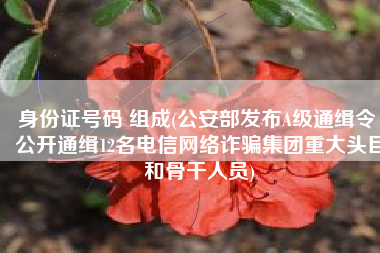 身份证号码 组成(公安部发布A级通缉令 公开通缉12名电信网络诈骗集团重大头目和骨干人员)