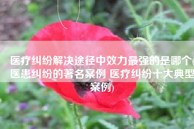 医疗纠纷解决途径中效力最强的是哪个(医患纠纷的著名案例 医疗纠纷十大典型案例)