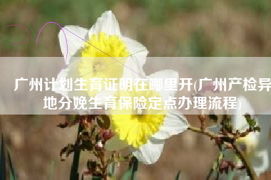 广州计划生育证明在哪里开(广州产检异地分娩生育保险定点办理流程)