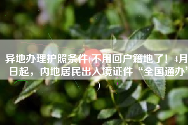 异地办理护照条件(不用回户籍地了！4月1日起，内地居民出入境证件“全国通办”)