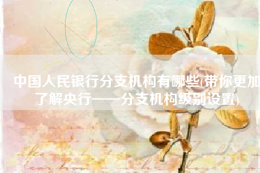 中国人民银行分支机构有哪些(带你更加了解央行——分支机构级别设置)