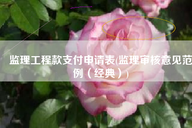 监理工程款支付申请表(监理审核意见范例（经典）)