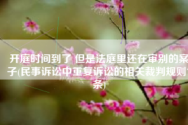开庭时间到了 但是法庭里还在审别的案子(民事诉讼中重复诉讼的相关裁判规则7条)
