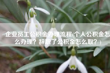 企业员工公积金办理流程(个人公积金怎么办理？辞职了公积金怎么取？)