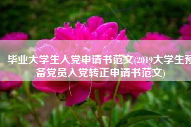 毕业大学生入党申请书范文(2019大学生预备党员入党转正申请书范文)