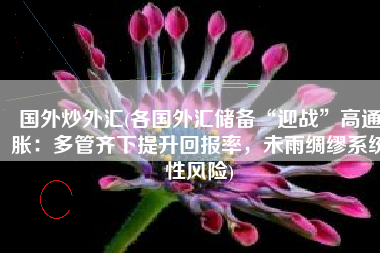 国外炒外汇(各国外汇储备“迎战”高通胀：多管齐下提升回报率，未雨绸缪系统性风险)