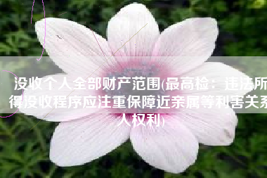没收个人全部财产范围(最高检：违法所得没收程序应注重保障近亲属等利害关系人权利)