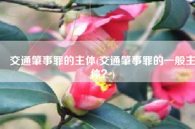 交通肇事罪的主体(交通肇事罪的一般主体？)