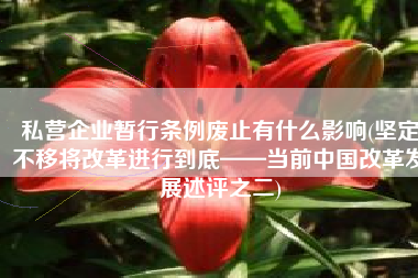私营企业暂行条例废止有什么影响(坚定不移将改革进行到底——当前中国改革发展述评之二)