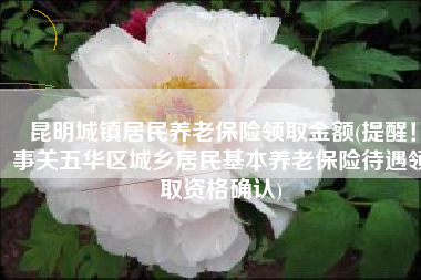 昆明城镇居民养老保险领取金额(提醒！事关五华区城乡居民基本养老保险待遇领取资格确认)