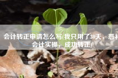 会计转正申请怎么写(我只用了30天，恶补会计实操，成功转正)