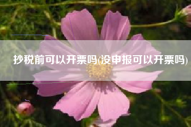 抄税前可以开票吗(没申报可以开票吗)