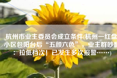 杭州市业主委员会成立条件(杭州一红盘小区包阳台后“五颜六色”，业主群吵翻：拉低档次！已发生多次报警……)