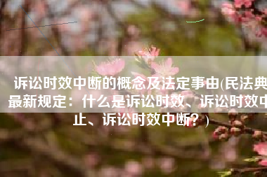 诉讼时效中断的概念及法定事由(民法典最新规定：什么是诉讼时效、诉讼时效中止、诉讼时效中断？)