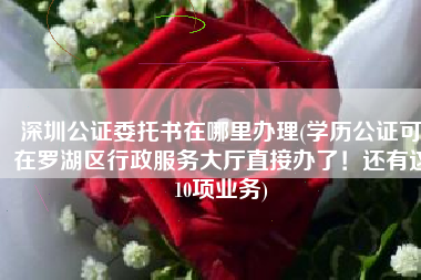 深圳公证委托书在哪里办理(学历公证可在罗湖区行政服务大厅直接办了！还有这10项业务)
