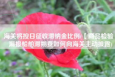 海关将按日征收滞纳金比例(【商品检验】漏报船舶滞期费如何向海关主动披露)