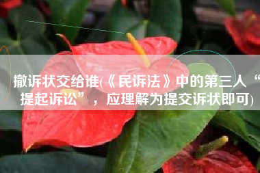 撤诉状交给谁(《民诉法》中的第三人“提起诉讼”，应理解为提交诉状即可)