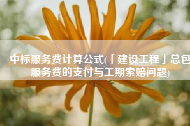 中标服务费计算公式(「建设工程」总包服务费的支付与工期索赔问题)