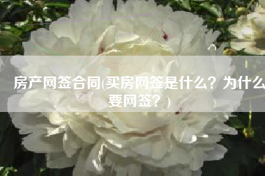 房产网签合同(买房网签是什么？为什么要网签？)