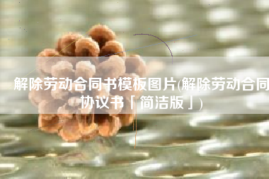 解除劳动合同书模板图片(解除劳动合同协议书「简洁版」)
