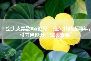 空头支票影响(论见 | 拖欠补贴近两年，引才岂能开“空头支票”)