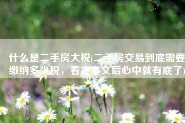 什么是二手房大税(二手房交易到底需要缴纳多少税，看完本文后心中就有底了)