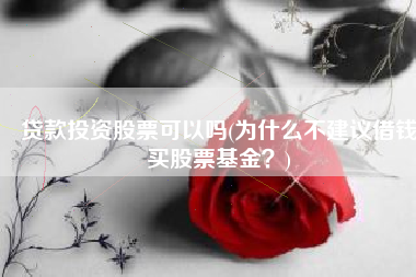 贷款投资股票可以吗(为什么不建议借钱买股票基金？)