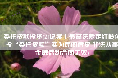 委托贷款投资(21说案丨最高法裁定红岭创投“委托贷款”实为民间借贷 非法从事金融活动合同无效)
