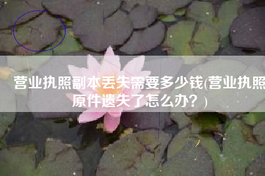 营业执照副本丢失需要多少钱(营业执照原件遗失了怎么办？)