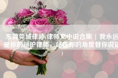 东莞莞城律师(律师文小说合集 | 我永远是你的辩护律师，站在你的角度替你说话)