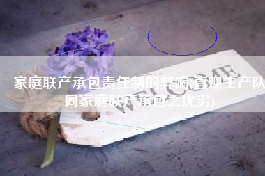 家庭联产承包责任制的弊端(直观生产队同家庭联产承包之优劣)