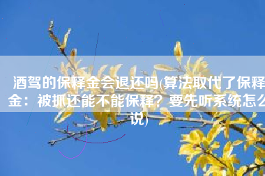 酒驾的保释金会退还吗(算法取代了保释金：被抓还能不能保释？要先听系统怎么说)