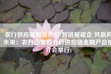 农行供应链融资产品(智链聚银企 共赢向未来：农行山东省分行供应链金融产品推介会举行)
