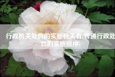 行政机关处罚的实施机关有(普通行政处罚的实施顺序)
