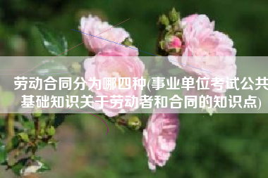 劳动合同分为哪四种(事业单位考试公共基础知识关于劳动者和合同的知识点)